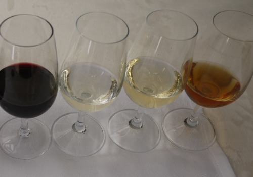 The Ultimate Guide to Wine Tasting: Tips for Serving Sizes and Maximizing Your Experience