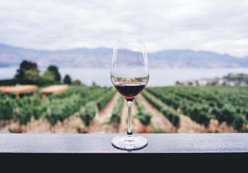 Discover What Viticulture Is and How It Shapes Your Wine Tasting Experience